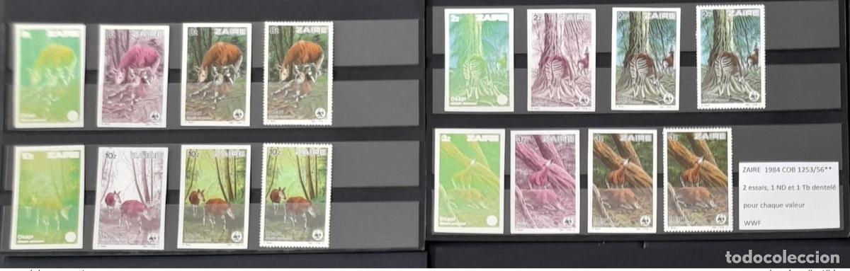 Sellos: Congo Zaire 1984 COB 1253 - 1256 pruebas de color IMPERF ND Okapi WWF Fauna