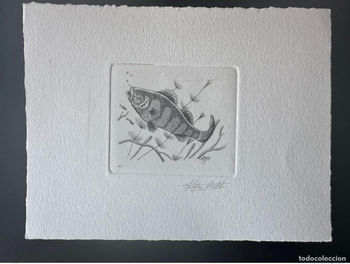 Sellos: B&eacute;lgica 1990 COB 2383 Prueba art&iacute;stica primer d&iacute;a FDC Poisson Fish Fisch Perche