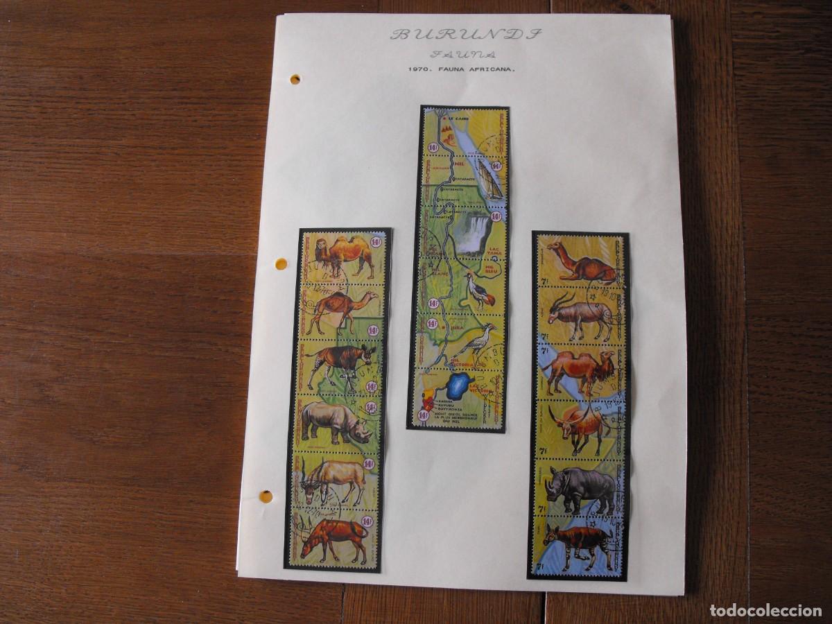 Briefmarken: Sellos de fauna. Africa. Burundi. Series nuevas y usadas. Montados en filoestuches.