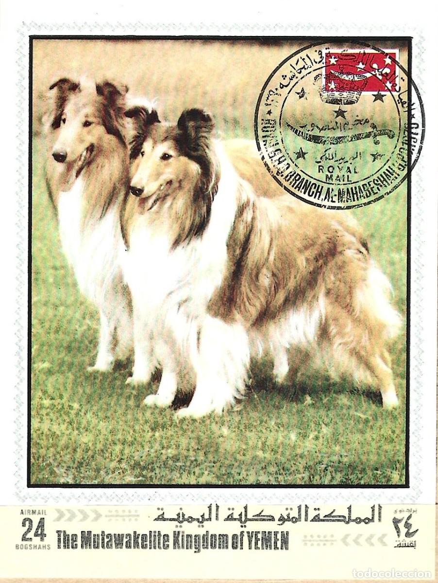 Sellos: MATAAWAKELITE KINGDOM OF YEMEN - COLLIE - CORREO A&Eacute;REO REAL - ROYAL AIRMAIL - BLOQUE ESTAMPADO