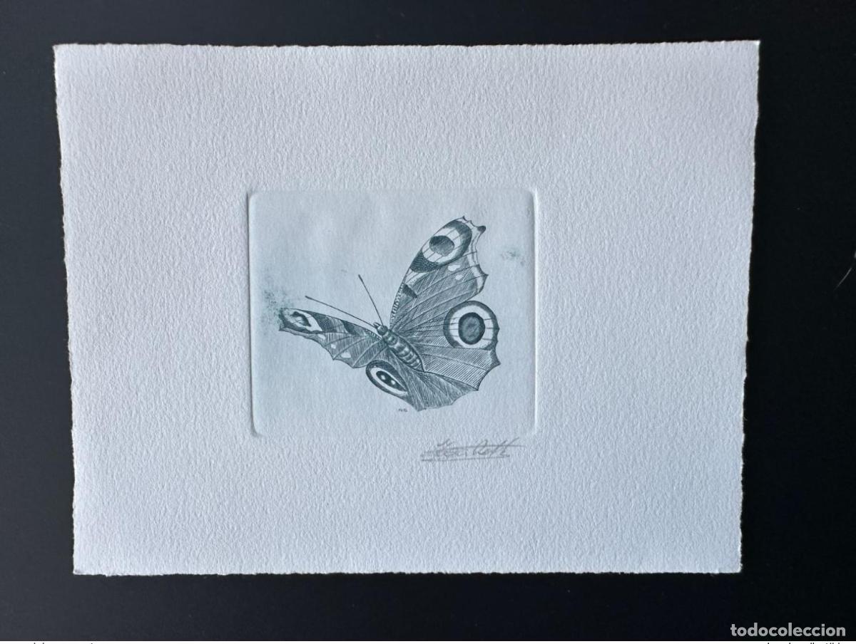 Sellos: B&eacute;lgica 1993 COB 2505 Prueba art&iacute;stica FDC Papillon Inachis io vert