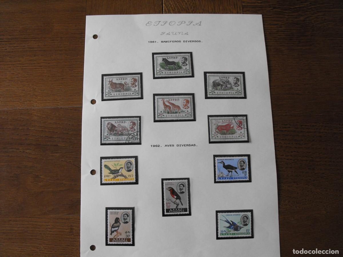 Stamps: Sellos de fauna. Africa. Etiop&iacute;a. Series nueva y usada incompleta. Montados en filoestuches.