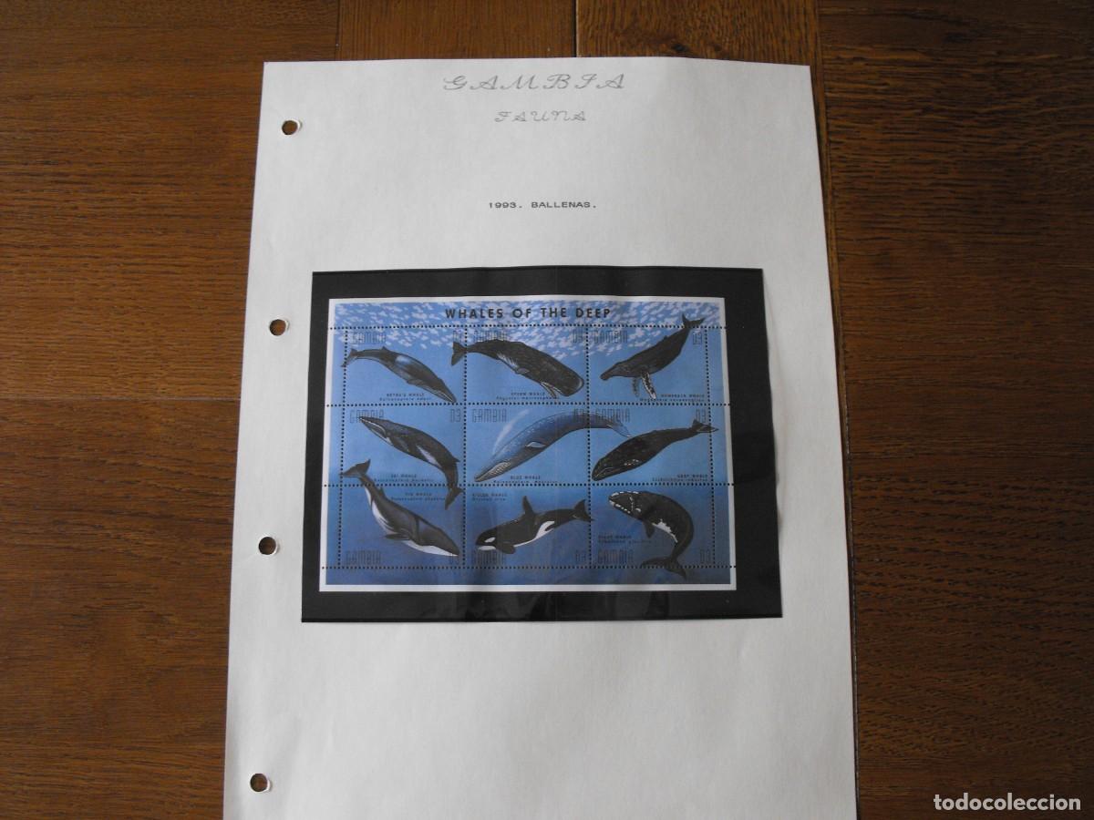 Timbres: Sellos de fauna. Africa. Gambia. Hoja bloque nueva. Montado en filoestuche.