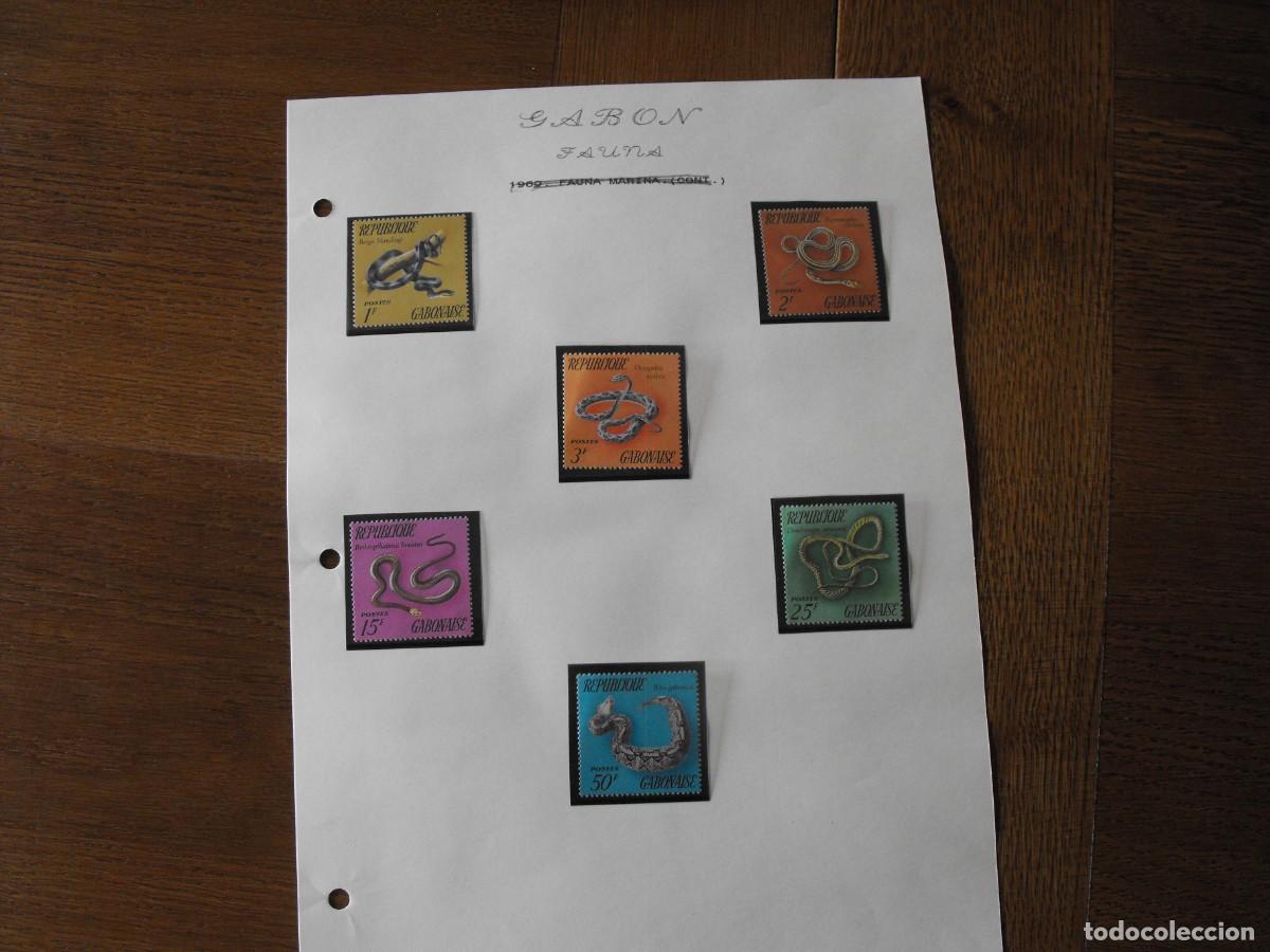 Timbres: Sellos de fauna. Africa. Gabon. Serie nueva. Montada en filoestuche.