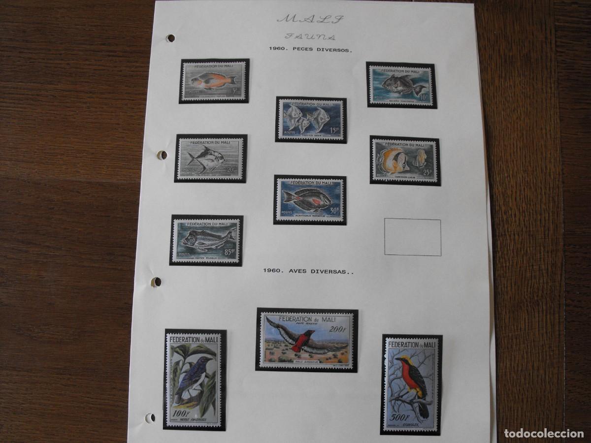 Selos: Sellos de fauna. Africa. Mali. Series y HB usadas y nuevas. Montadas en filoestuche.
