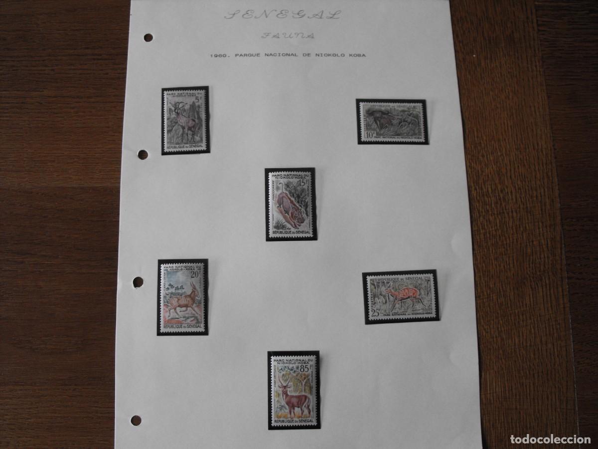 Stamps: Sellos de fauna. Africa. Senegal. Serie nueva. Montadas en filoestuche.