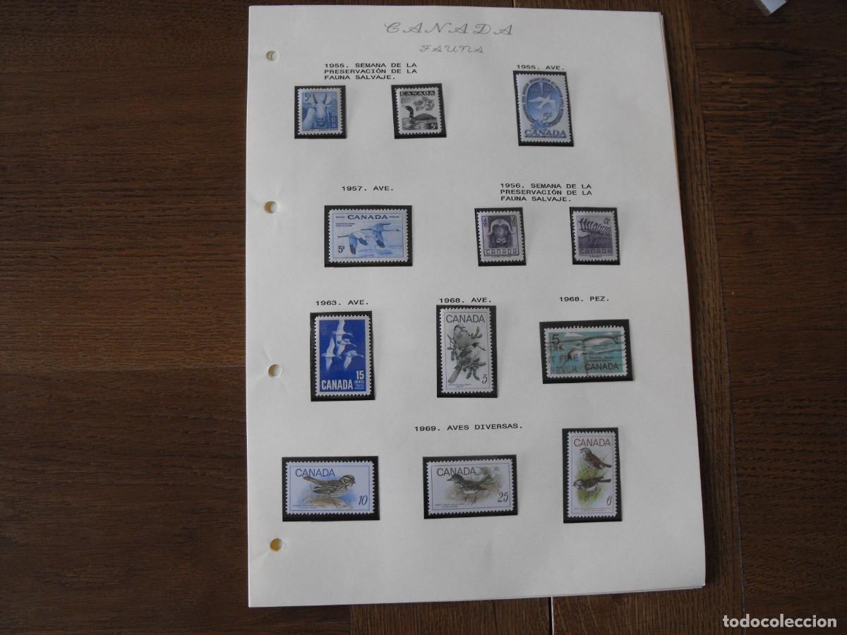 Briefmarken: Sellos de fauna. America. Canada. Series nuevas y usadas. Montadas en filoestuche.