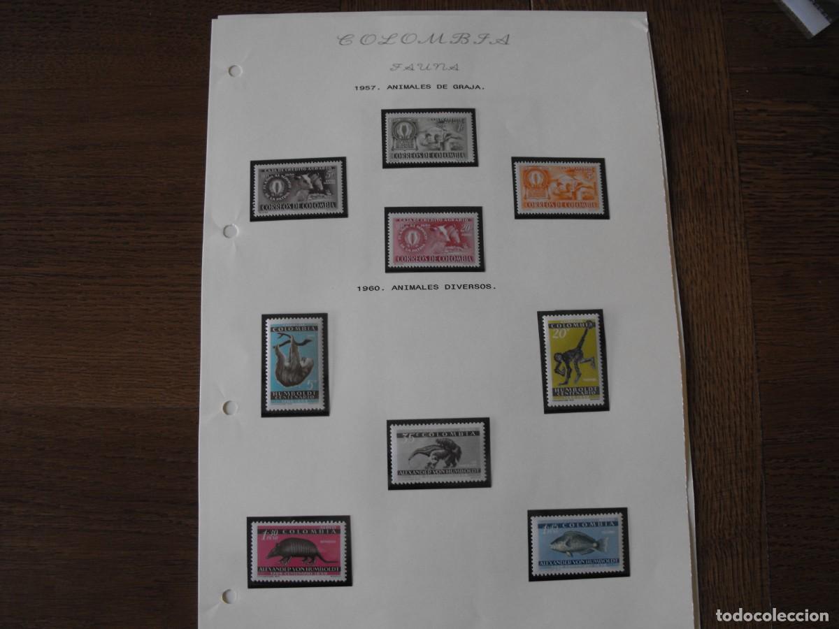 Selos: Sellos de fauna. America. Colombia. Series nuevas. Montadas en filoestuche.
