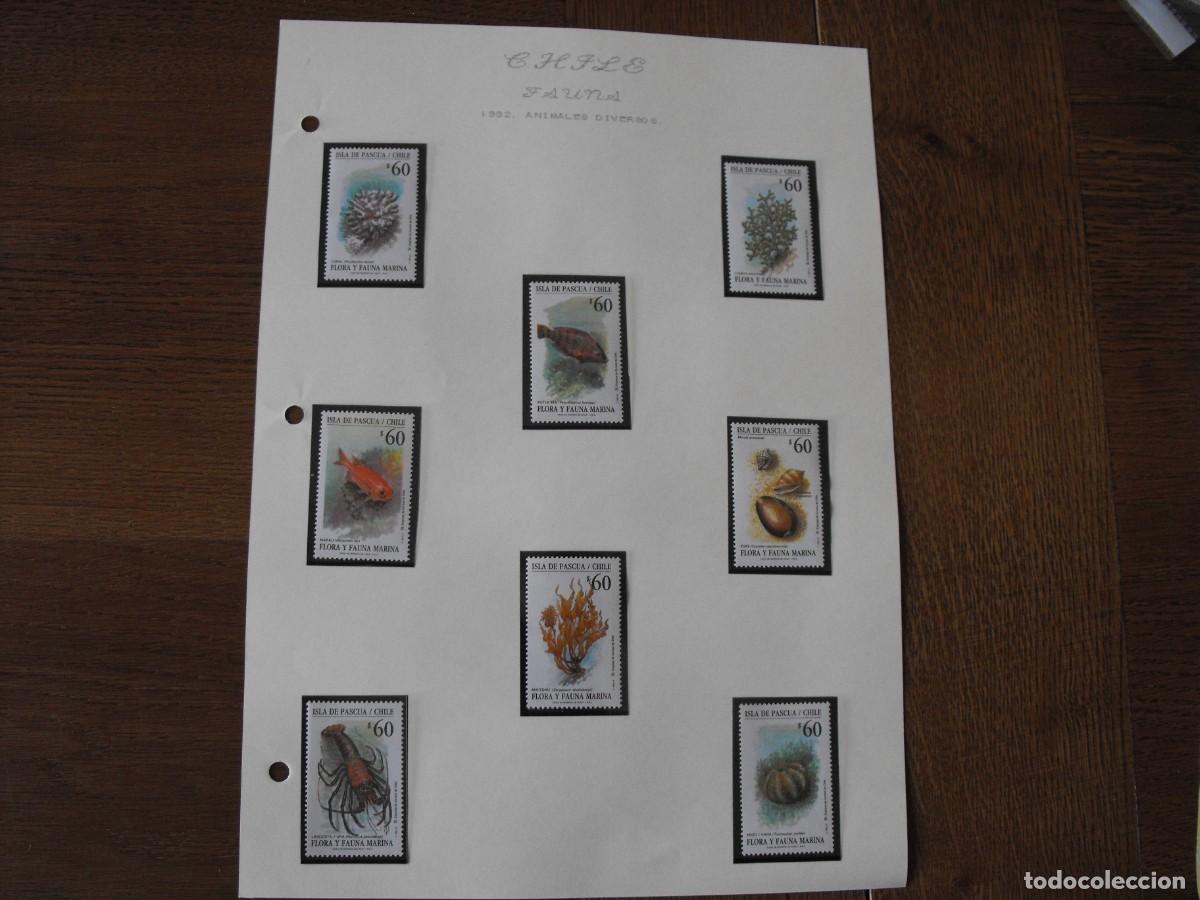 Stamps: Sellos de fauna. America. Chile. Serie nueva. Montadas en filoestuche.