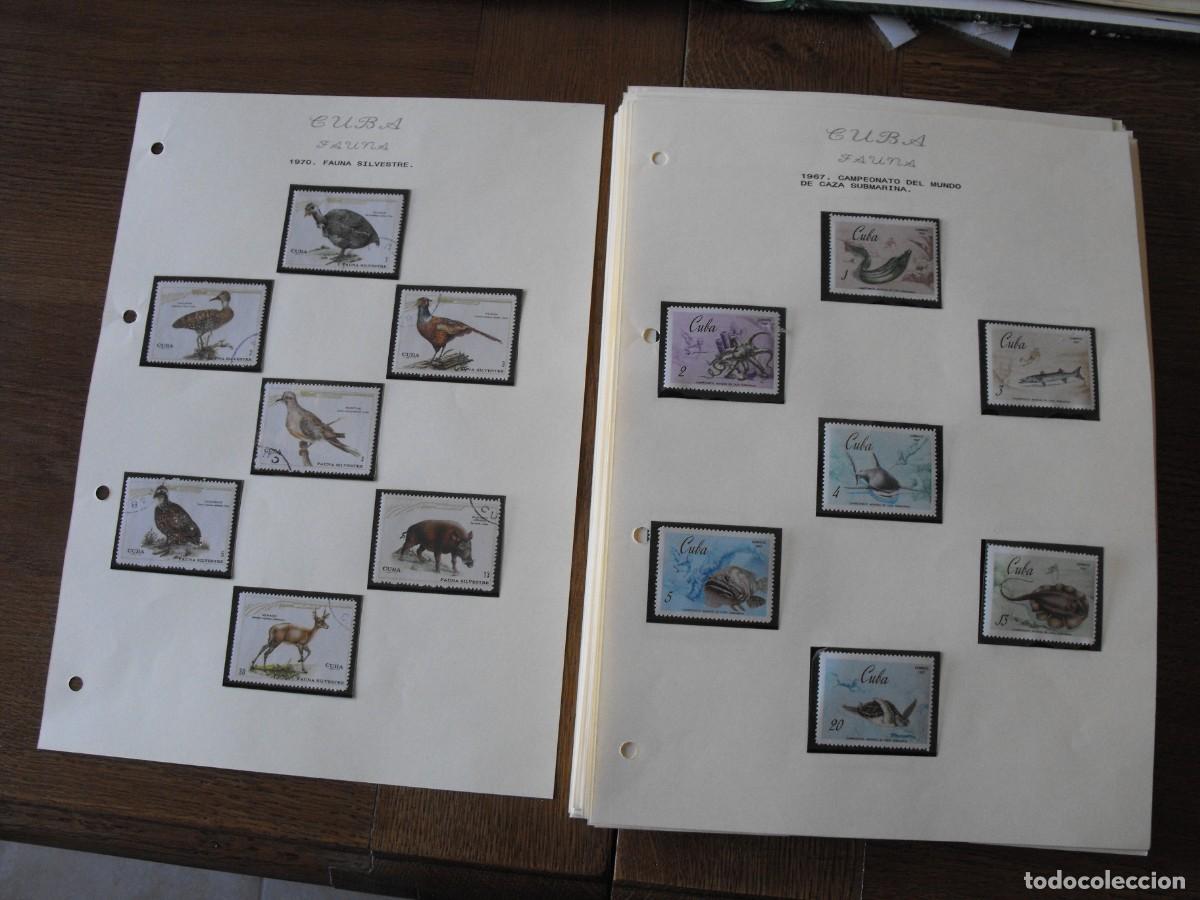 Sellos: Sellos de fauna. America. Cuba. Series nuevas y usadas. Montadas en filoestuche.