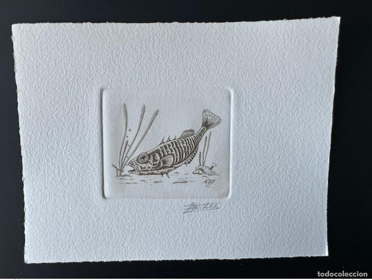 Sellos: B&eacute;lgica 1990 COB 2386 Prueba art&iacute;stica FDC Poisson Fish Fisch Brown stickleback