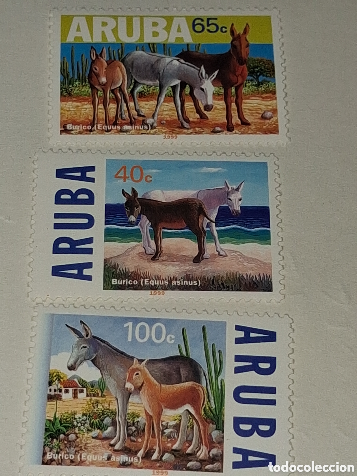 Sellos: Sello Aruba nuevo 1999. Asno. Burro. Animales dom&eacute;sticos. Granja. Mam&iacute;feros. Equinos. Tiro. Fauna