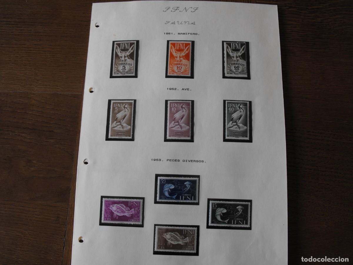 Sellos: Sellos de fauna. Colonias Espa&ntilde;olas. Ifni. Series nuevas. Montadas en filoestuche.