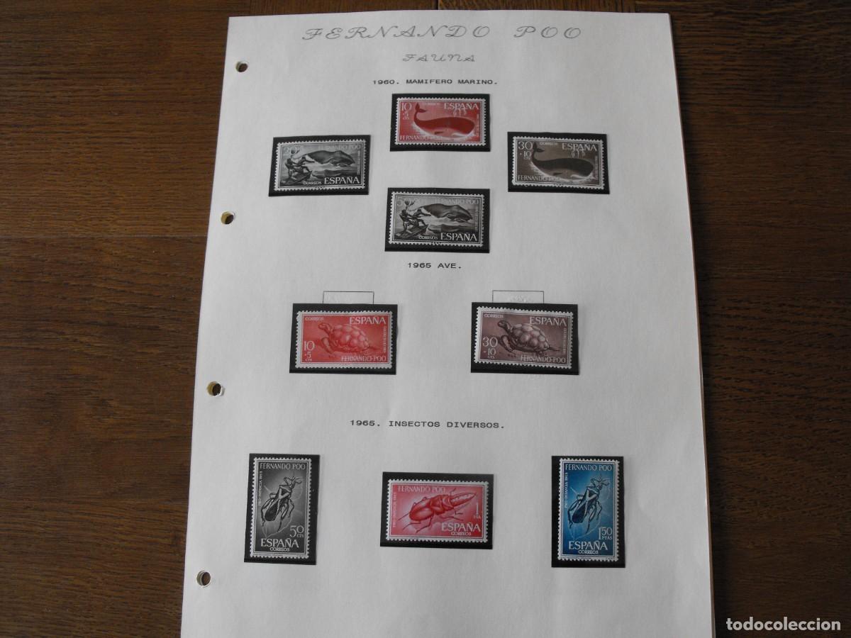Stamps: Sellos de fauna. Colonias Espa&ntilde;olas. Fernando Poo. Series nuevas. Montadas en filoestuche.