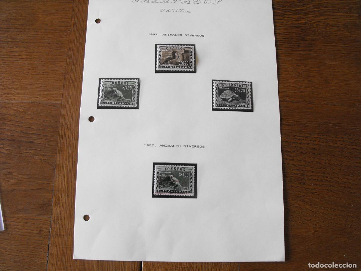 Stamps: Sellos de fauna. America. Ecuador Galapagos. Series nuevas. Montadas en filoestuche.