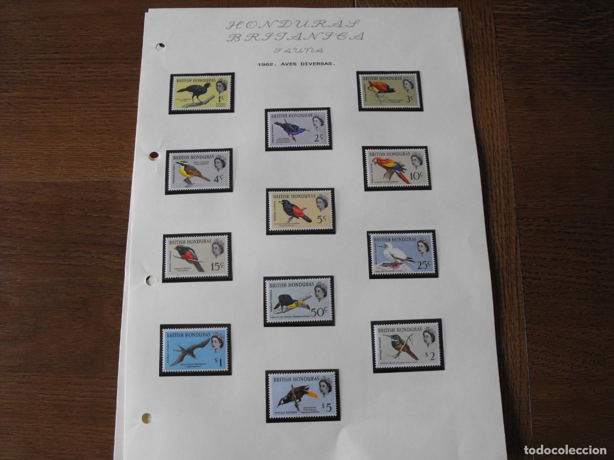 Stamps: Sellos de fauna. America. Honduras. Serie nueva. Montadas en filoestuche.