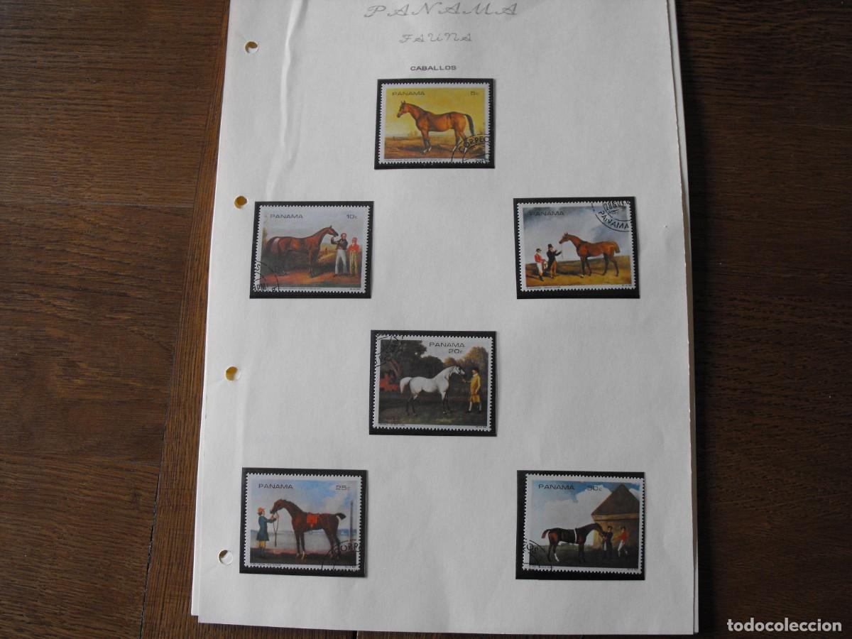 Selos: Sellos de fauna. America. Panama. Series nuevas y usadas. Montadas en filoestuche.