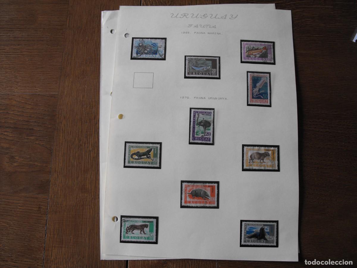 Selos: Sellos de fauna. America. Uruguay. Series nuevas y usadas. Montadas.