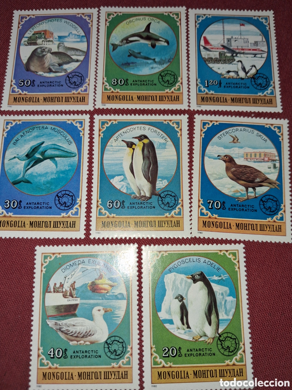 Sellos: Sello Mongolia mtdo 1980. Exploraci&oacute;n ant&aacute;rtica. Fauna. Ping&uuml;ino. Aves. Foca. Orca. Ballena. Morsa.