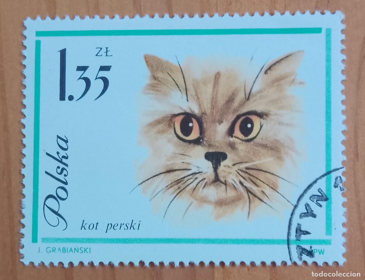 Timbres: POLONIA - V/F 1.35 ZT - FAUNA, GATO - VER DESCRIPCI&Oacute;N