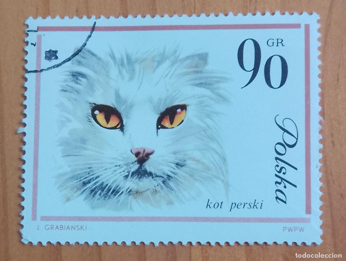 Timbres: POLONIA - V/F 90 GR - FAUNA, GATO - VER DESCRIPCI&Oacute;N