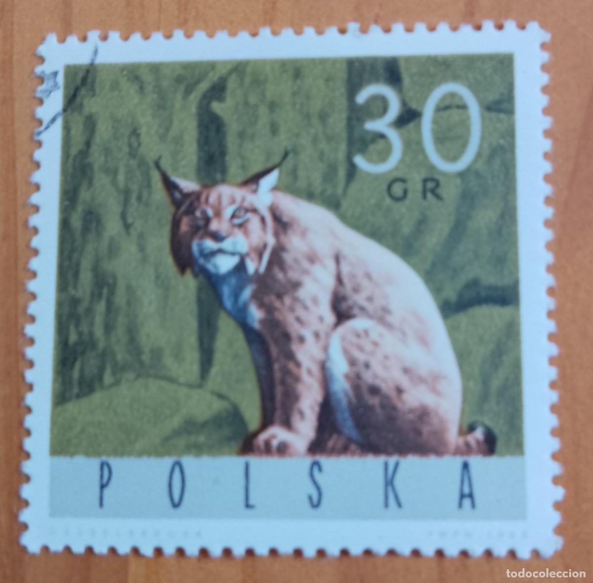 Timbres: POLONIA - V/F 30 GR - FAUNA, GATO, LINCE - VER DESCRIPCI&Oacute;N