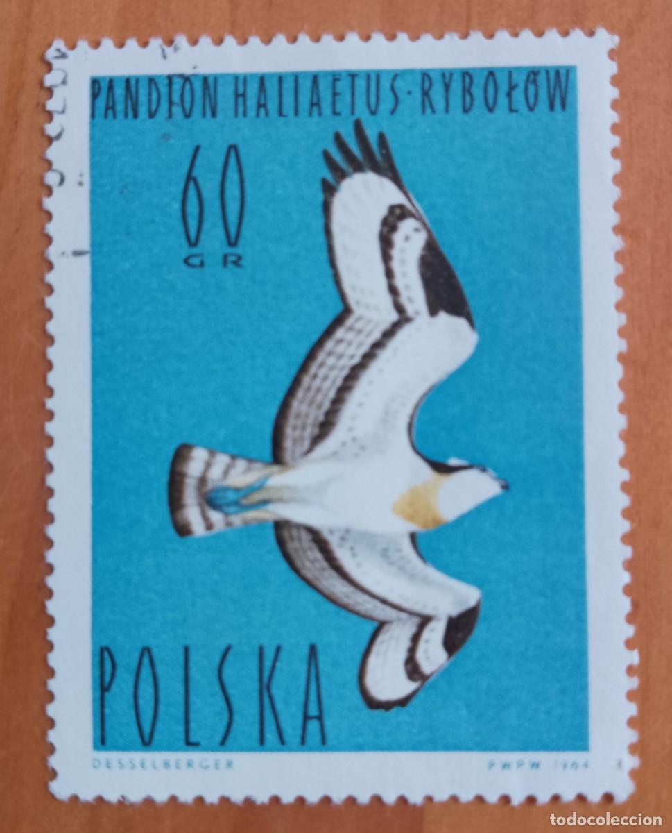 Timbres: POLONIA - V/F 60 GR - FAUNA, AVE, P&Aacute;JARO - VER DESCRIPCI&Oacute;N