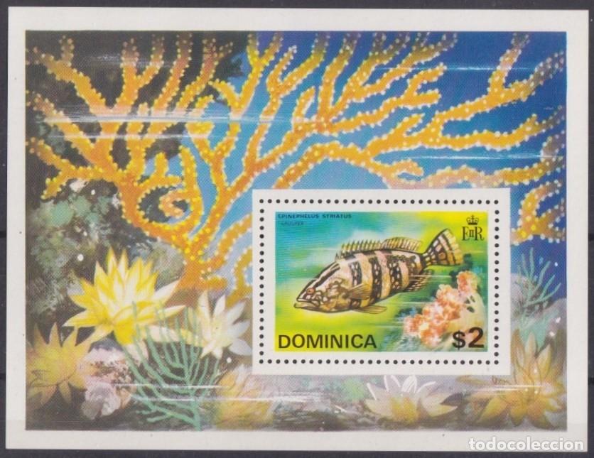 Stamps: F-EX61842 DOMINICA MNH MARINE WILDLIFE FISH REEF CORAL.