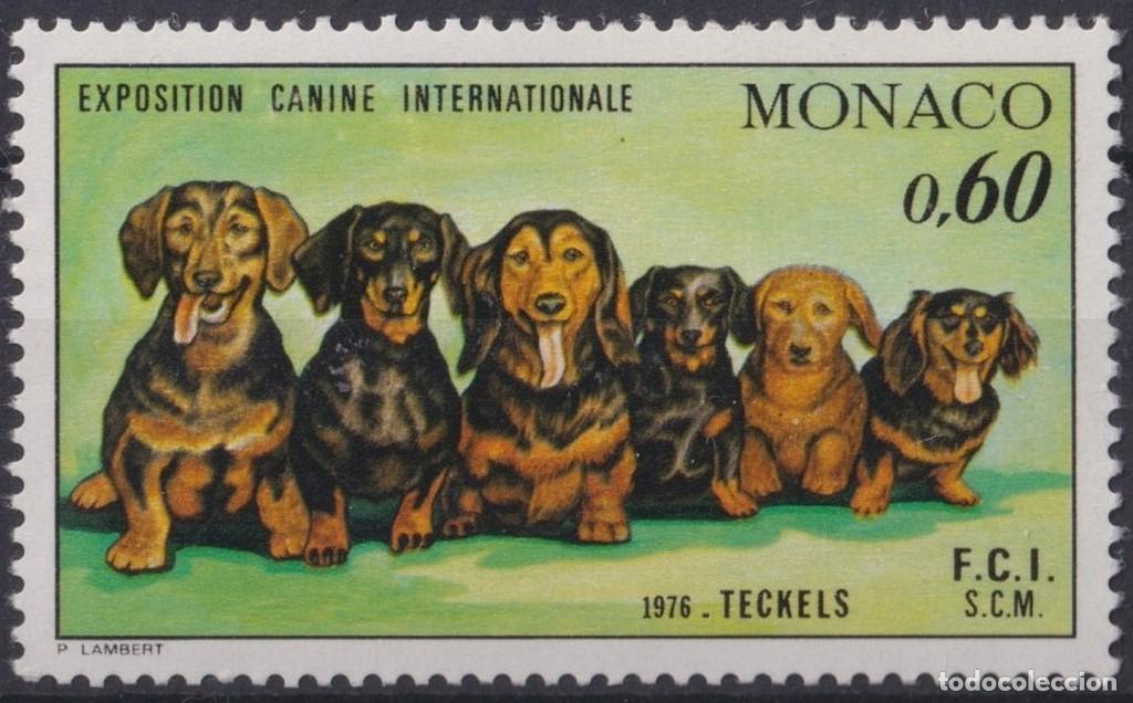 Stamps: F-EX64462 MONACO MNH 1976 DOG PERROS INTERNACIONAL EXPOSICI&Oacute;N CANINA.
