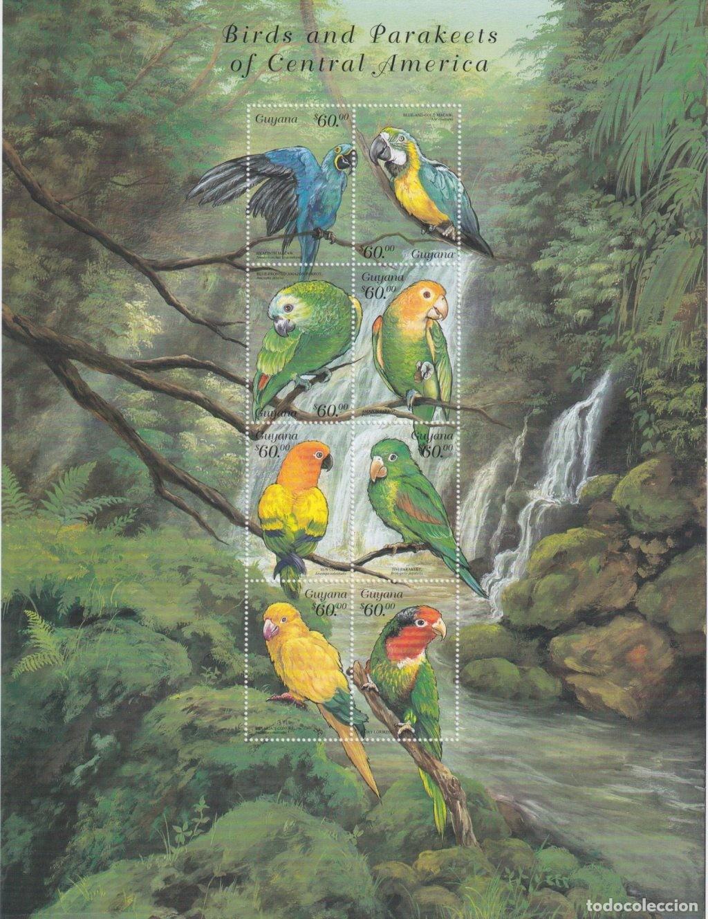 Stamps: F-EX65033 GUYANA MNH 1999 BIRD PARAKEETS OF CENTRAL AMERICA AVES PARROT OISEAUX.