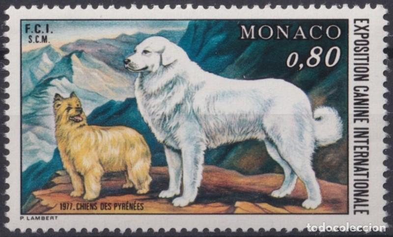 Selos: F-EX64456 MONACO MNH 1977 DOG PERROS INTERNATIONAL DOG SHOW.