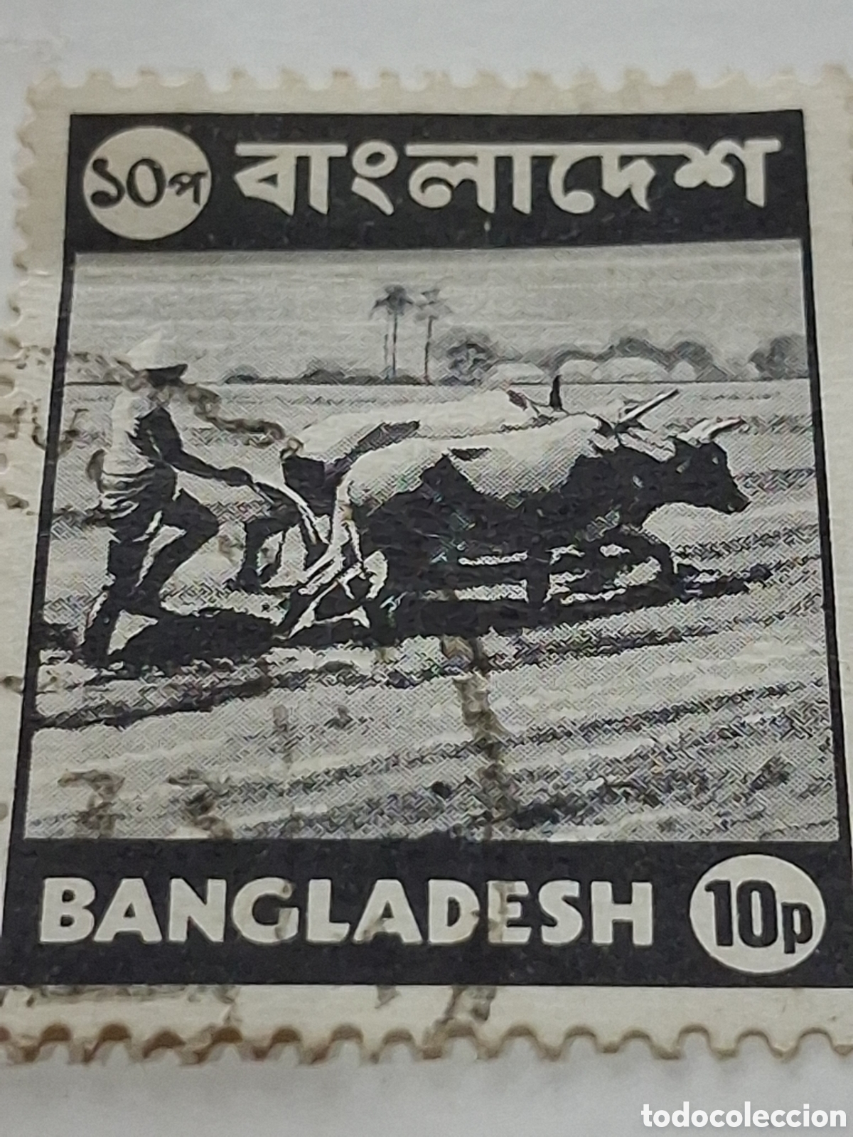 Timbres: Sello (1/14v) Banglades mtdo/bgr 1973. Aspectos locales. Ganado. Campo. Agricultura. Buey. Fauna.
