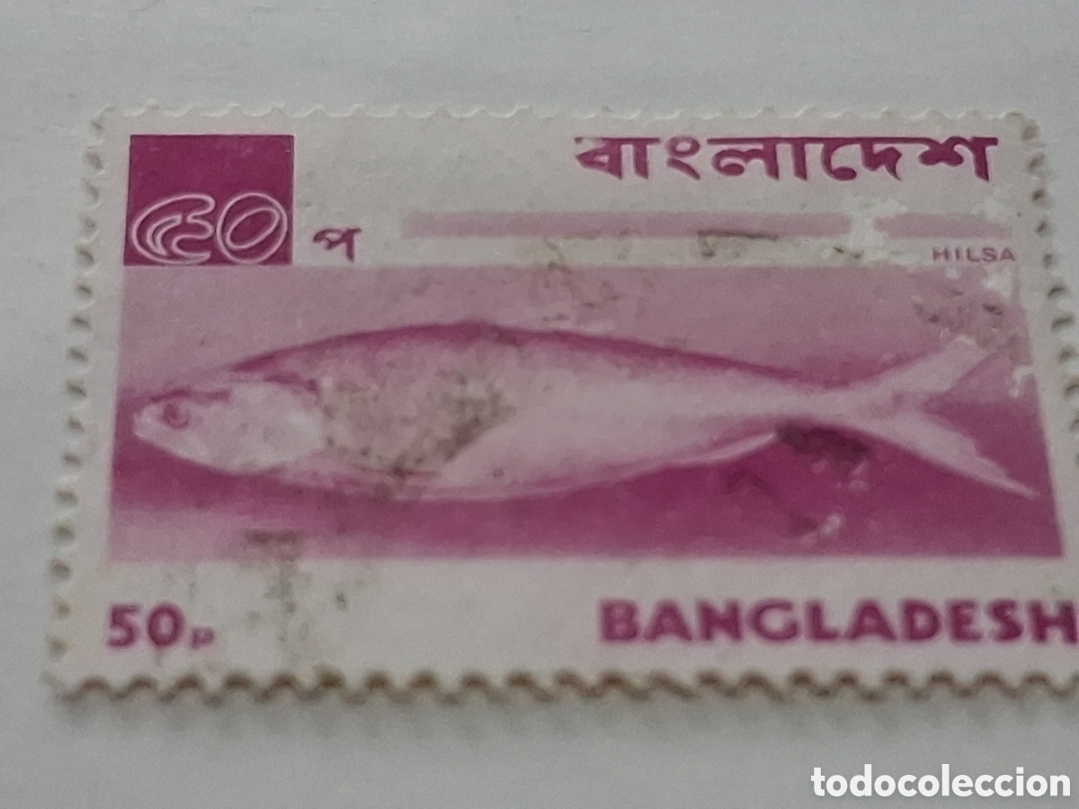 Timbres: Sello (1/14v) Banglades mtdo/bgr 1973. Aspectos locales. Peces. Pescado. Llish. Vida, fauna marina.