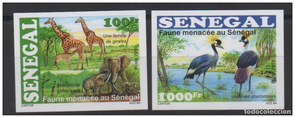 Sellos: Senegal 2015 IMPERF P&aacute;jaros silvestres no serrados en peligro de extinci&oacute;n Elefantes jirafas