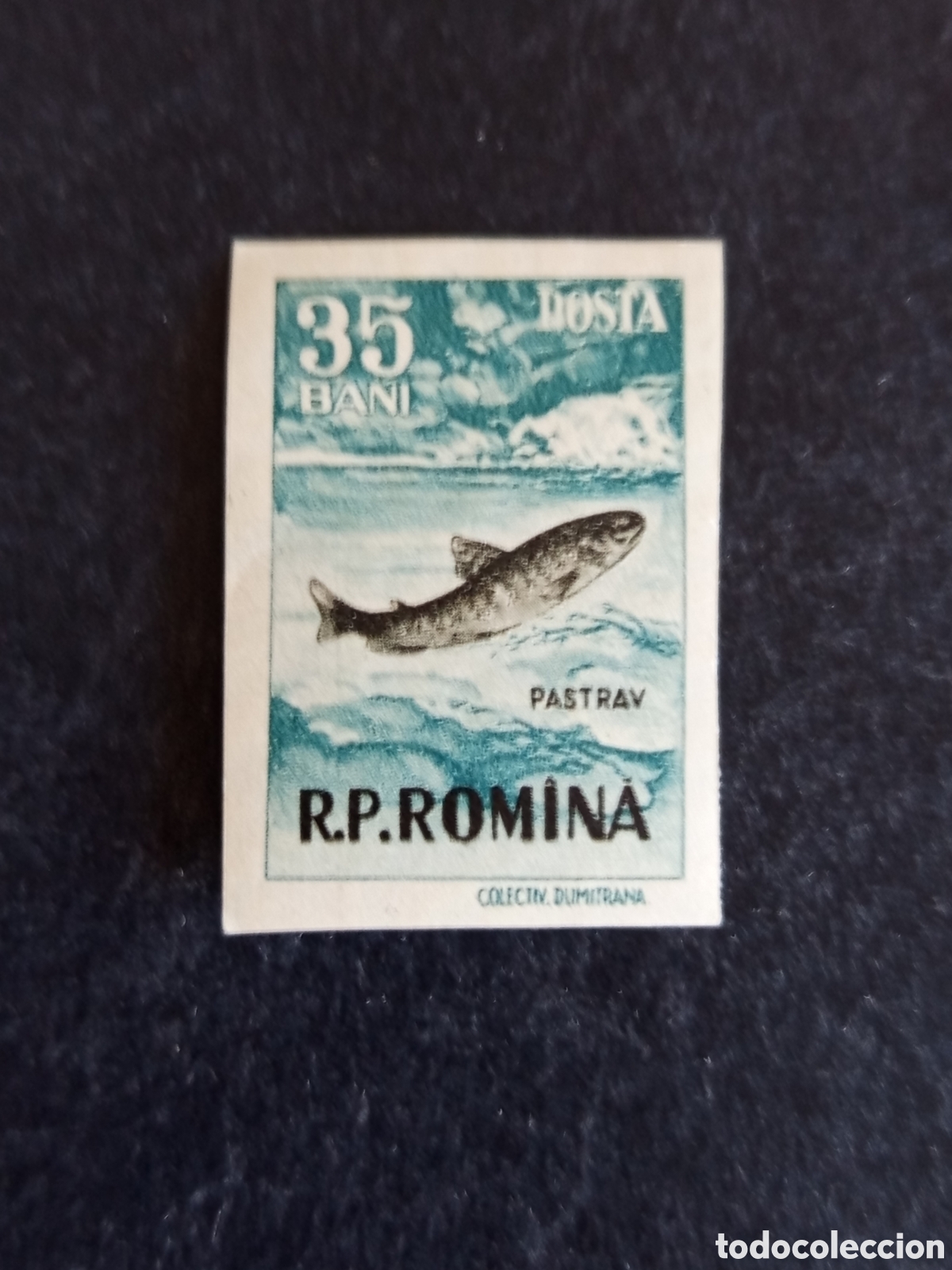 Sellos: Ruman&iacute;a,1956. Fauna. Pesca: trucha. Yv 1490. Sello sin dentar. Pedido m&iacute;nimo 3 &euro;. Ver fotos.
