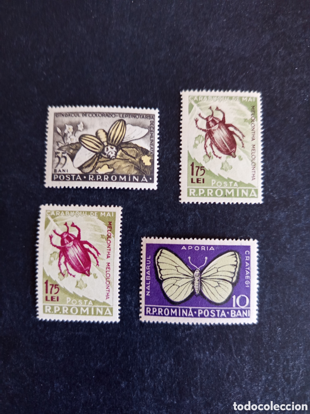 Sellos: Ruman&iacute;a, 1956. Insectos. Yv 1461/4. Serie completa. Pedido m&iacute;nimo 3 &euro;. Ver fotos.