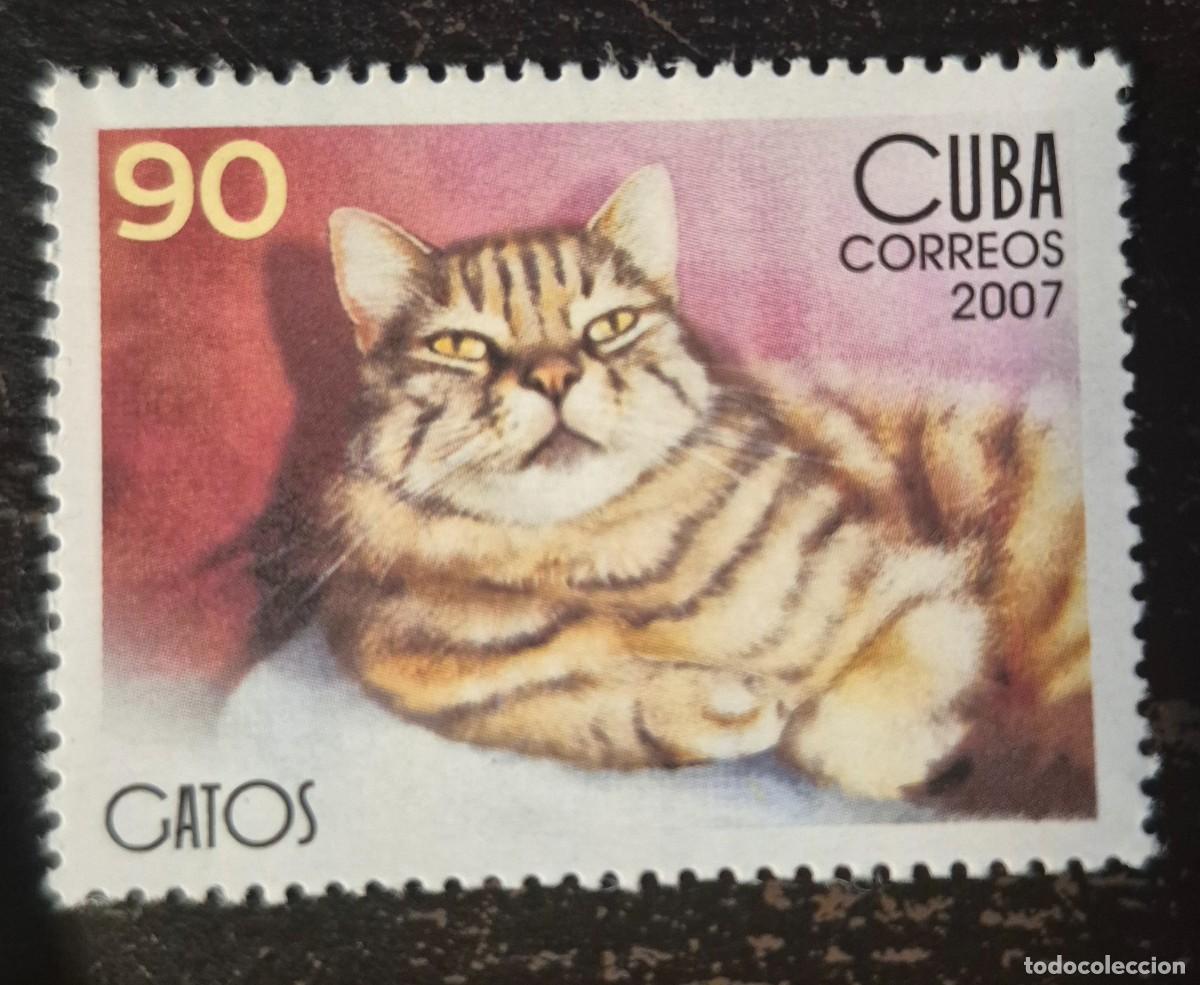 Sellos: CUBA A&ntilde;o 2007 - Gatos domesticos - Nuevo con goma- Se env&iacute;a el de la imagen
