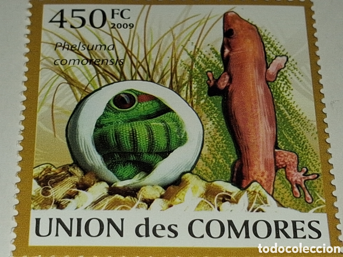 Sellos: Sello Comoras nuevo 2009. Gecko diurno. Reptil. Anfibio. Oviparo. Fauna. Naturaleza. Lagartija.