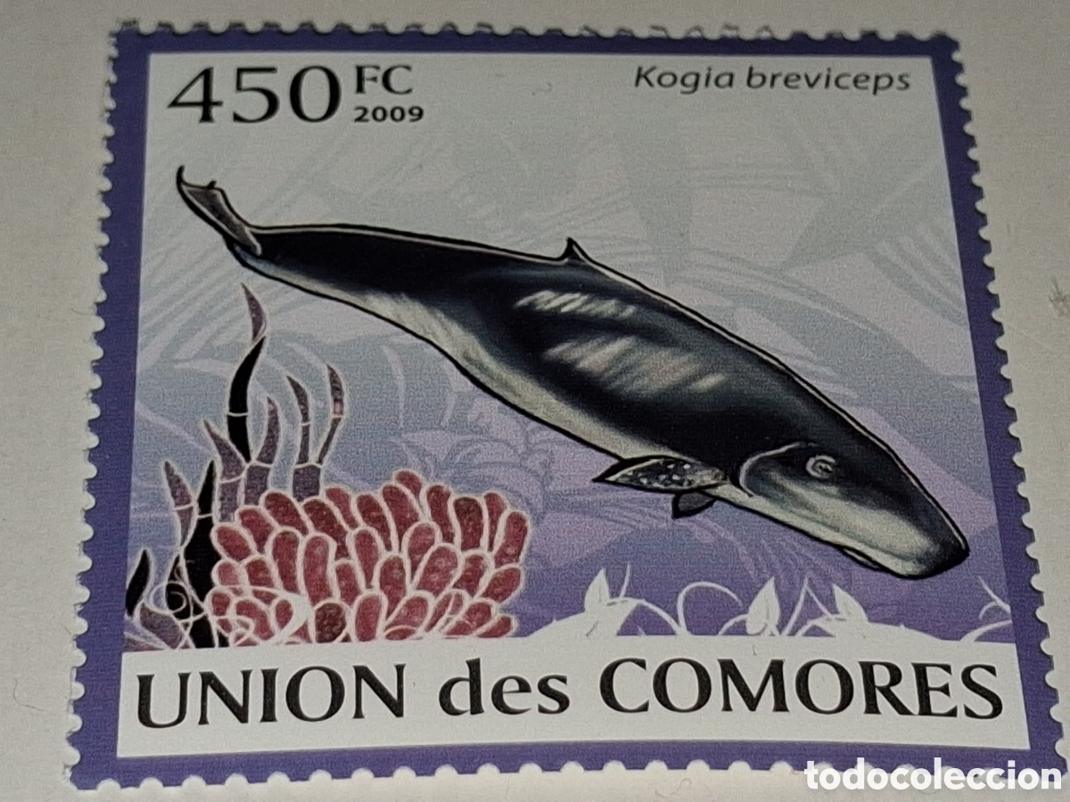 Sellos: Sello Comoras nuevo 2009. Fauna, vida marina. Pescado. Peces. Cachalotes. Cet&aacute;ceo. Ballena. Arrecife