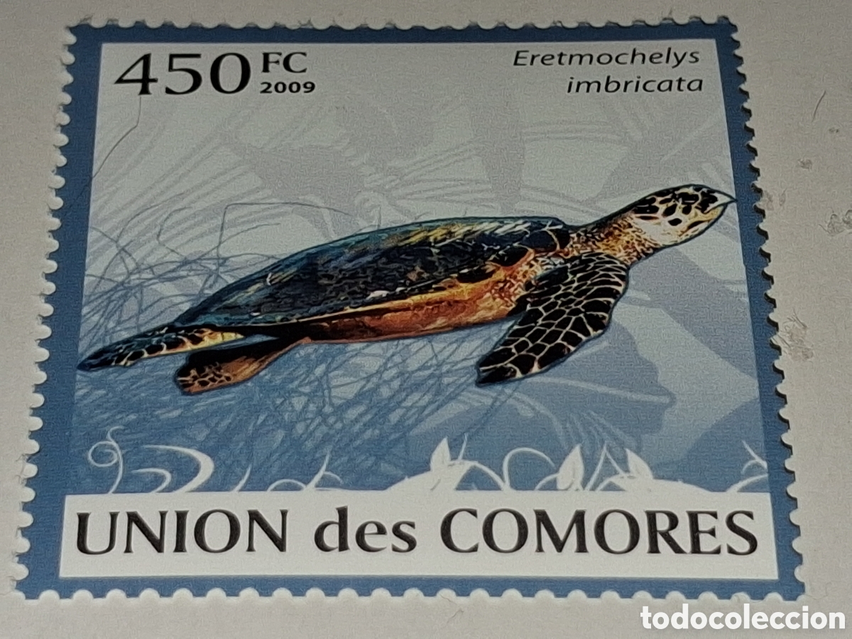 Sellos: Sello Comoras nuevo 2009. Fauna, vida amrina. Torugal. Gal&aacute;pagos. Reptil. Oviparo. Animales. Natural