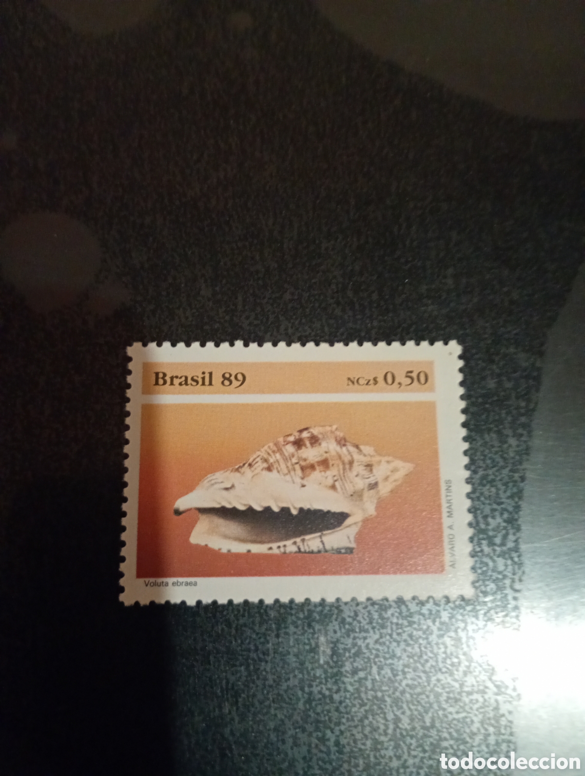 Sellos: Brasil fauna conchas - Foto 1