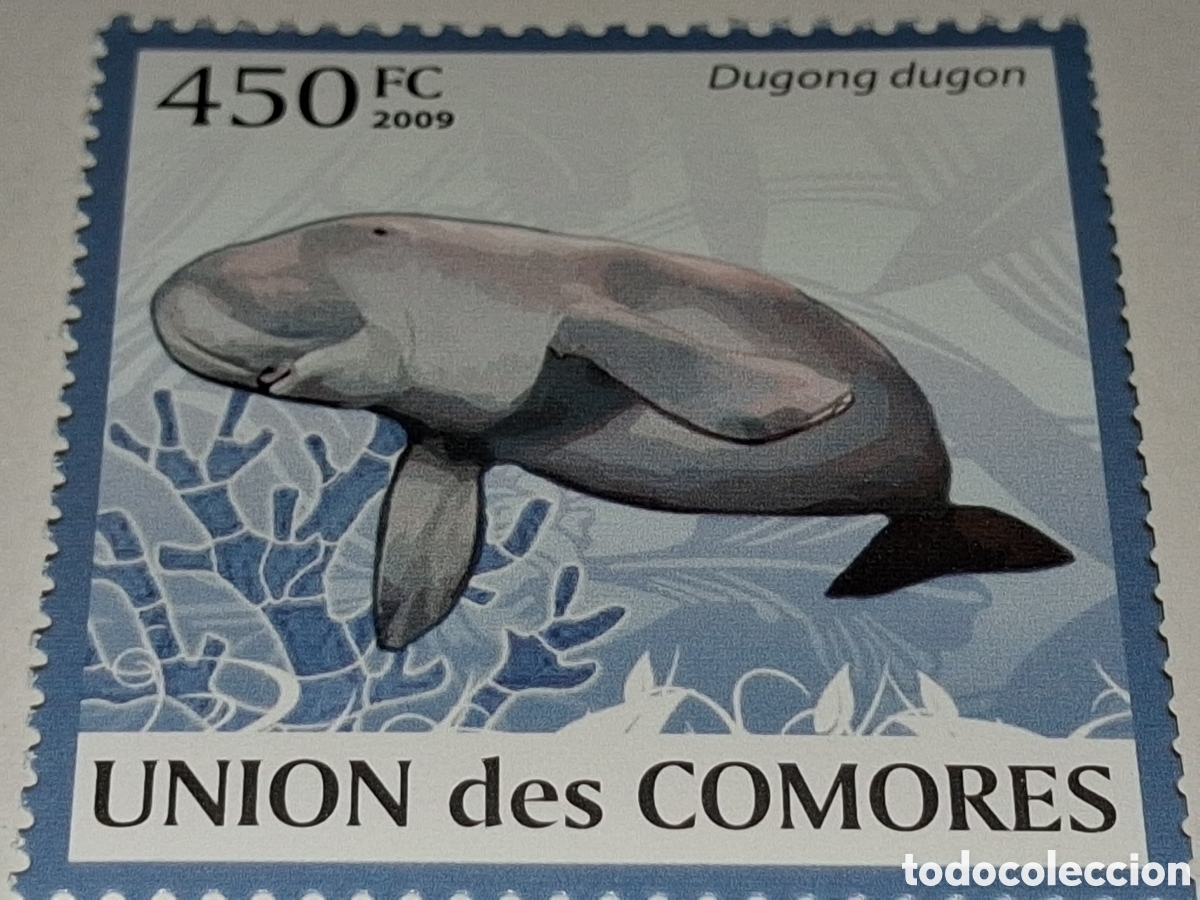 Sellos: Sello Comoras nuevo 2009. Fauna, vida marina. Dubong. Pescado. Peces. Mam&iacute;feros. Sirenios.