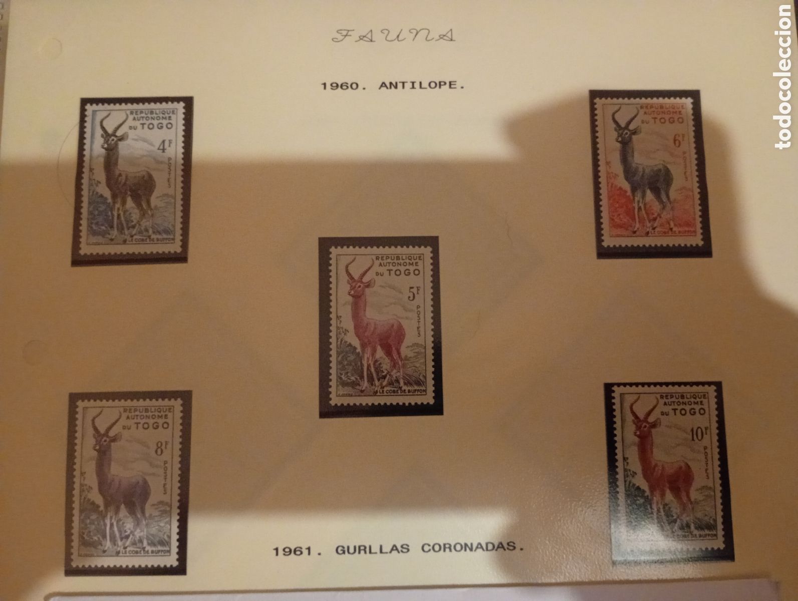 Sellos: Togo 1957 266 270 ant&iacute;lopes fauna
