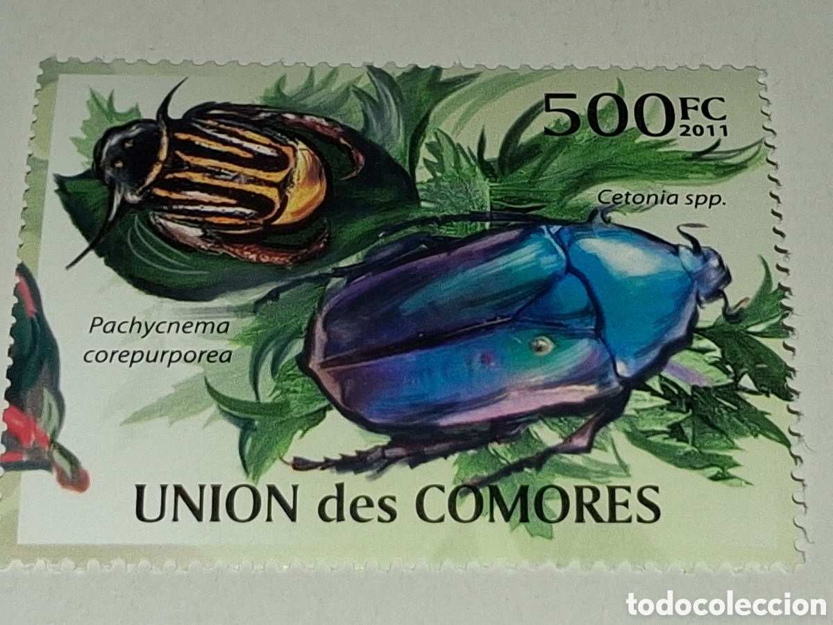 Sellos: Sello Comoras nuevo 2011. Insectos. Fauna. Escarabajo. Animales. Naturaleza.