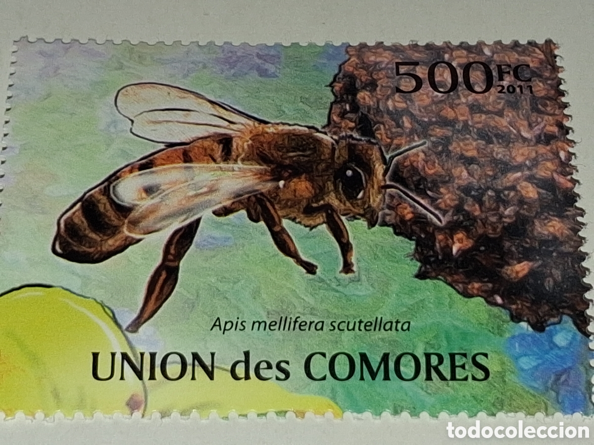 Sellos: Sello Comoras nuevo 2011. Abeja mielifera. Insectos. Fauna. Flores. Flora. Insecto. Avispa.