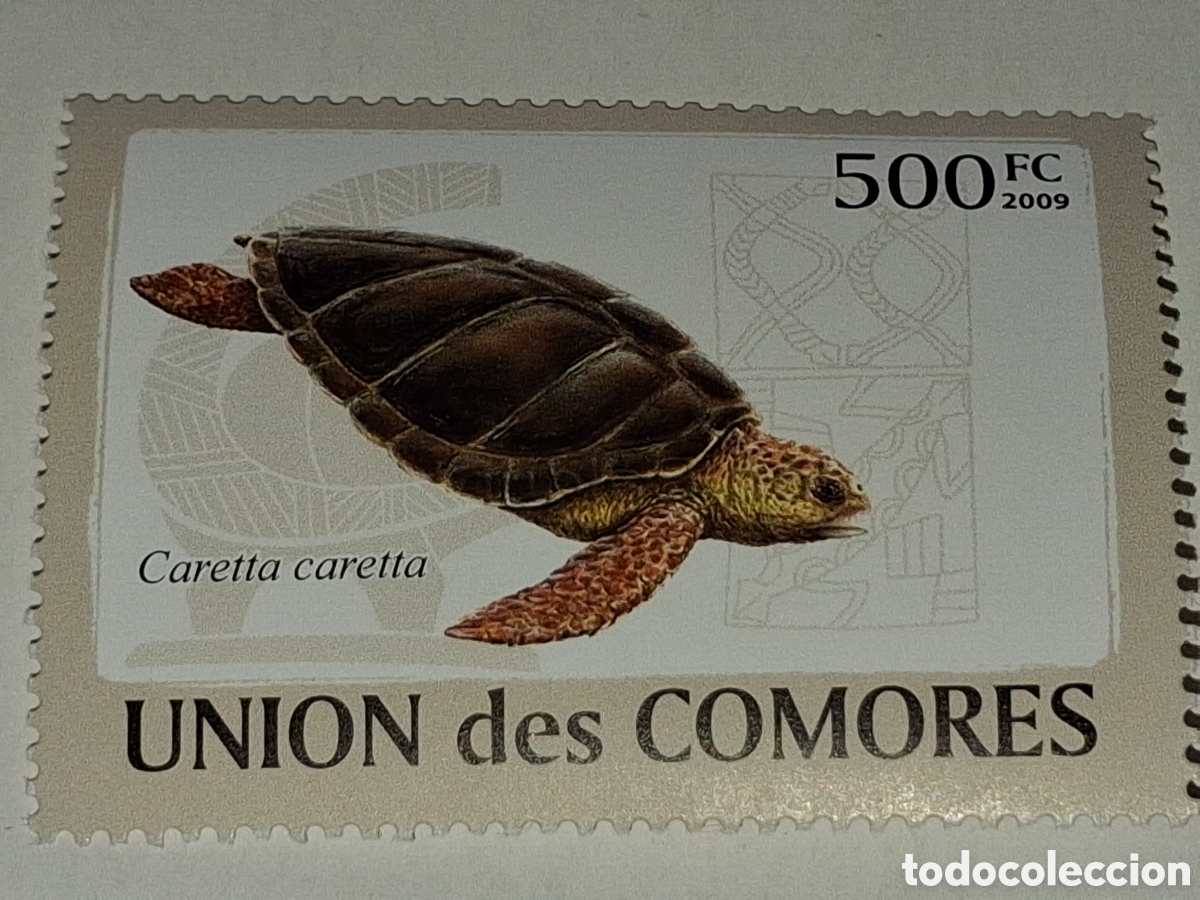 Sellos: Sello Comoras nuevo 2009. Tortugas. Animales. Reptiles. Fauna, vida marina. Gal&aacute;pagos. Oviparo.