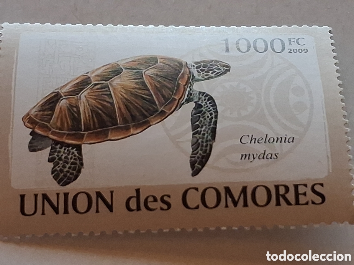Sellos: Sello Comoras nuevo 2009. Tortugas. Animales. Reptiles. Fauna, vida marina. Gal&aacute;pagos. Oviparo. Chel