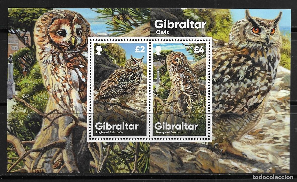 Sellos: GIBRALTAR 2020, HOJA BOQUE Mi.143 - TEMA FAUNA - BUHOS. MNH.
