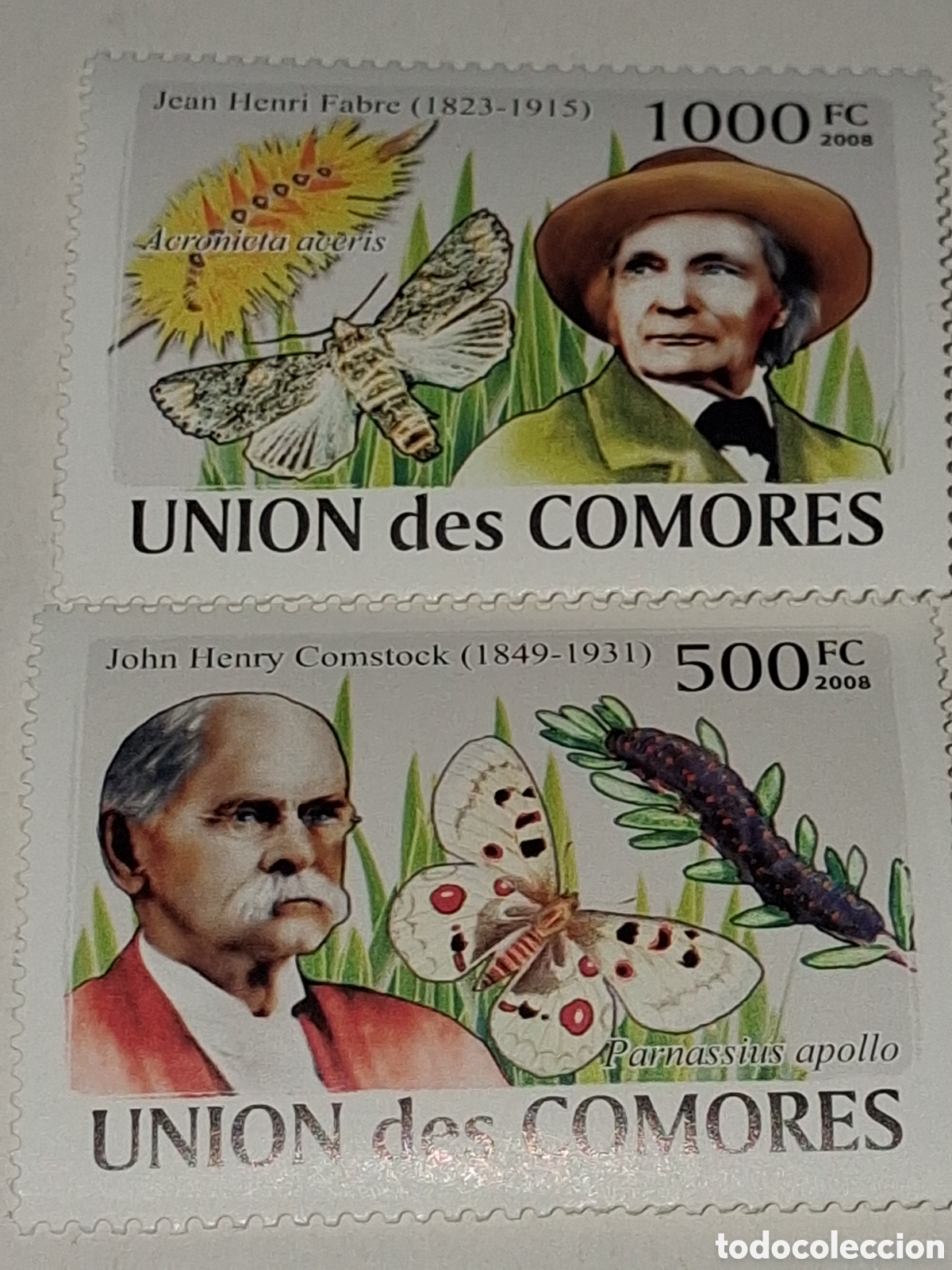 Sellos: Sello Comoras nuevo 2008. Entomologo. Mariposas. Polillas. Gusanos. Comstock. Fabre. Insectos.