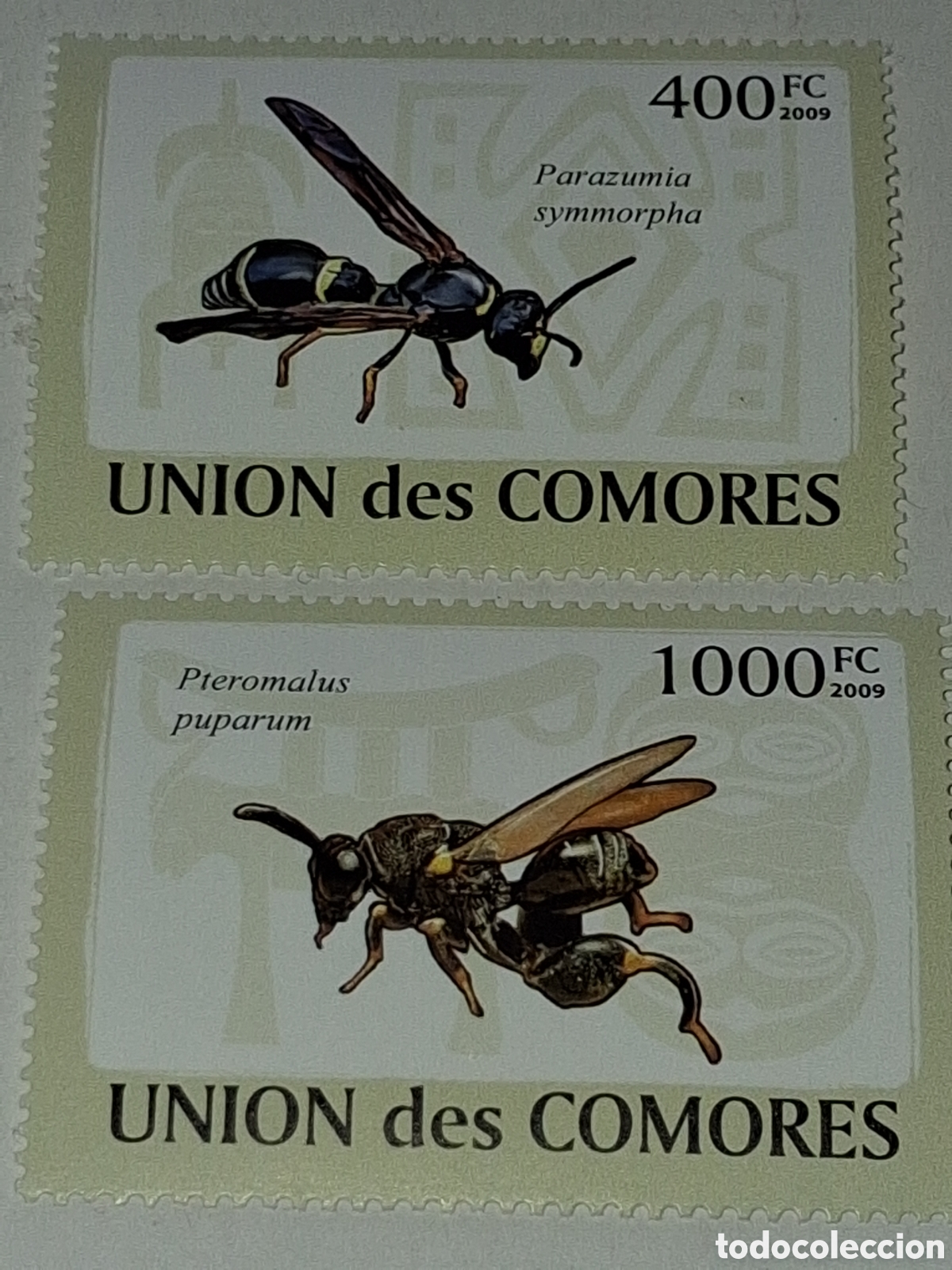 Sellos: Sello Comoras nuevo 2009. Abeja. Avispas. Insectos. Fauna. Animales. Natiraleza.